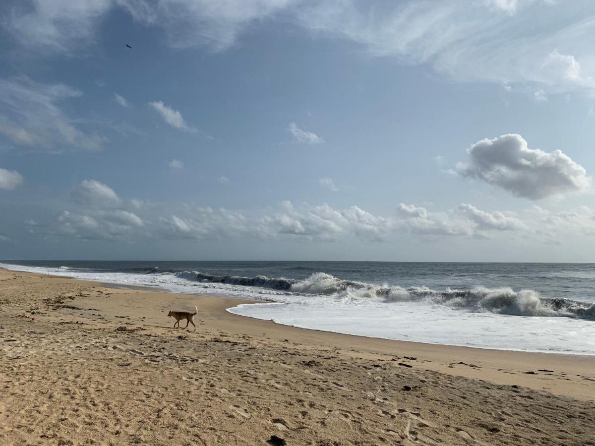 Peacock Villa Marari Beach Mararikulam Eksteriør bilde